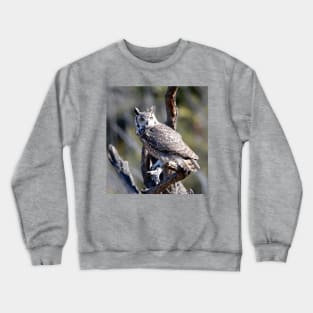 Great Horned Owl Crewneck Sweatshirt